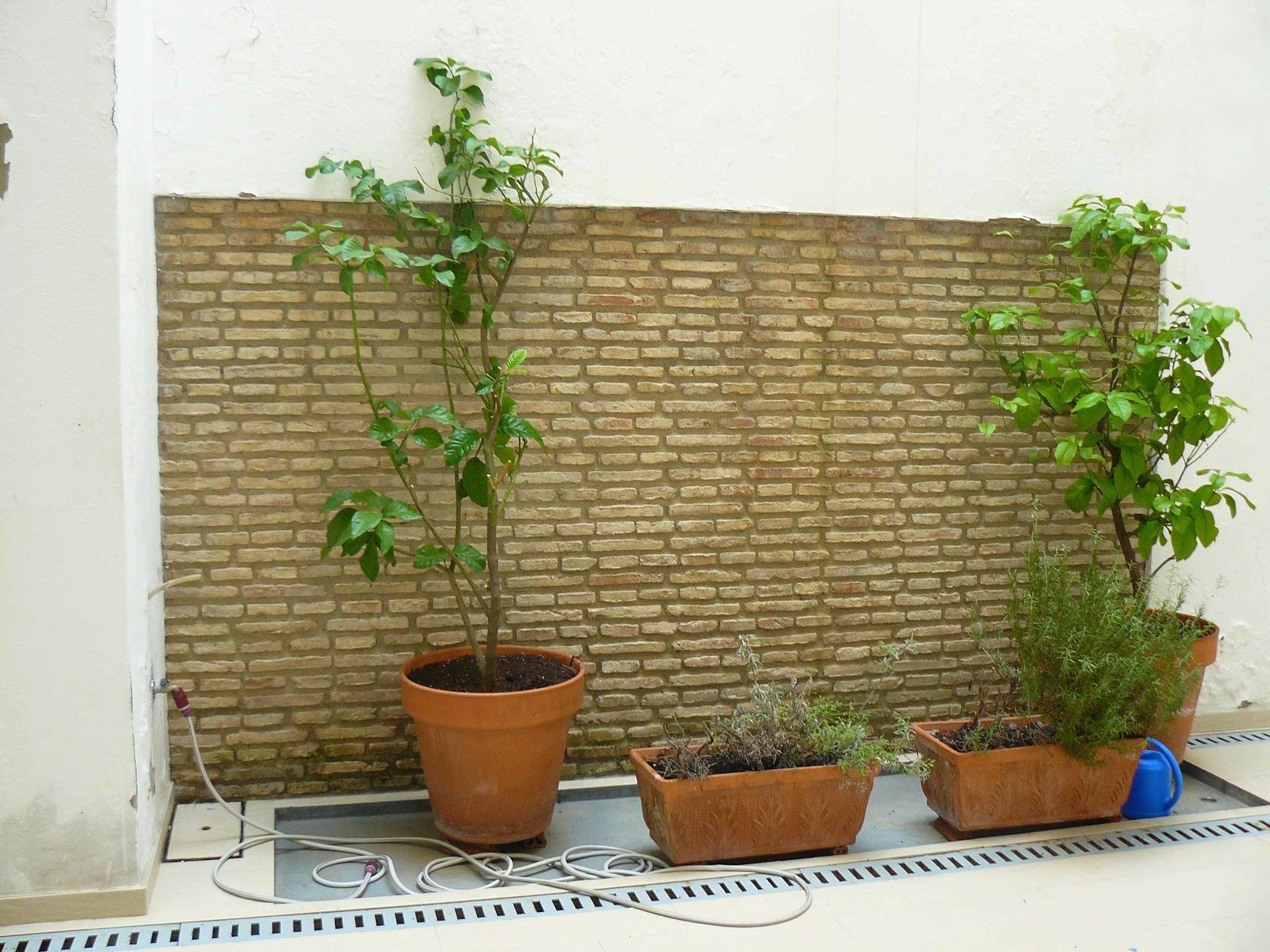 Alfaqueque Apartment Sevilla Kültér fotó